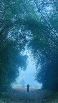 thennal jungle camp pvt ltd