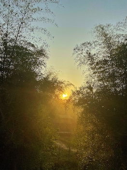 thennal jungle camp pvt ltd