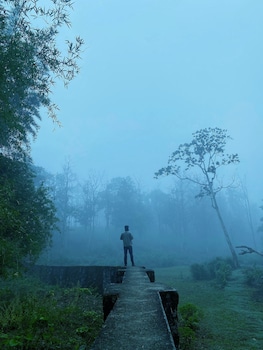 thennal jungle camp pvt ltd