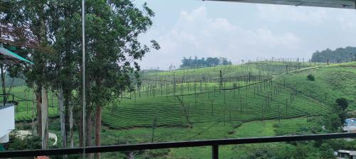 valparai