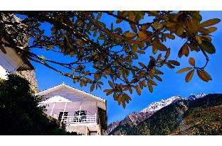 Hotel Alpine Resort