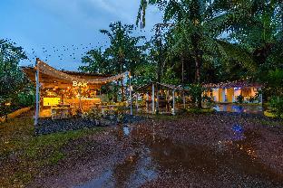 whoopers party hostel palolem