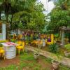 goa