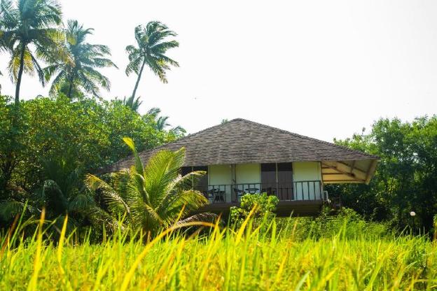 diveagar