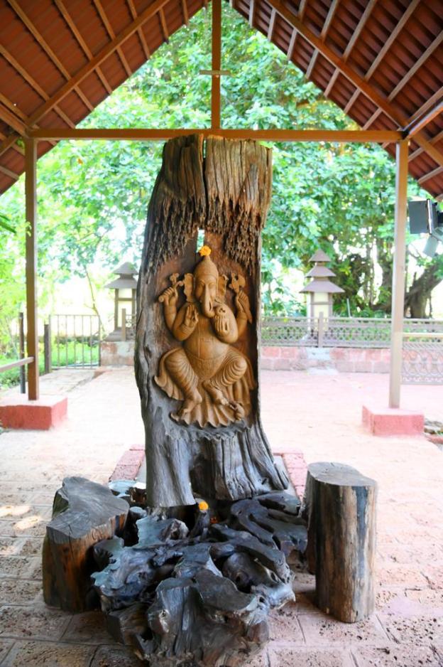 diveagar