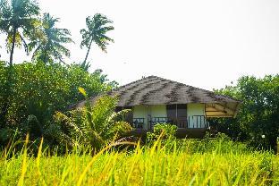 diveagar