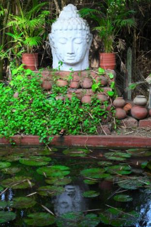 diveagar