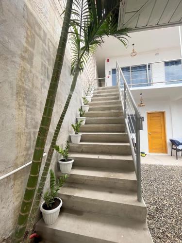 sunset paradise moalboal