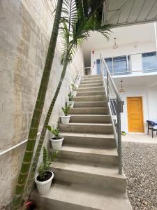 sunset paradise moalboal