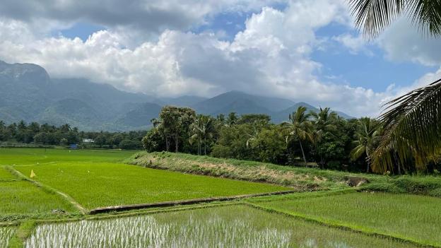 yasuragi boutique resort