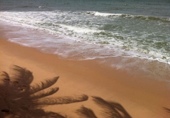 mui ne paradise resort