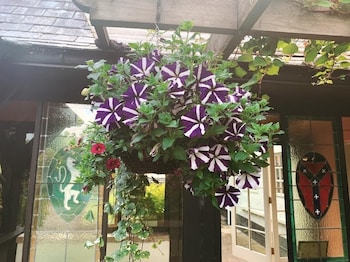 The Hoops Inn,Near Peppercombe Beach,3 star