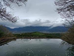 plum garden homestay