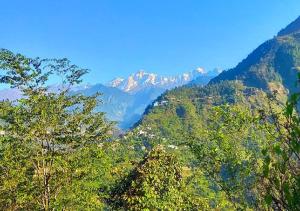 the himalayan view resort