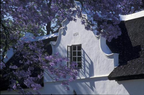 adara palmiet valley luxurious boutique hotel