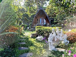 qions villa