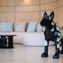 sole mio boutique hotel and wellness
