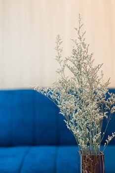 sole mio boutique hotel and wellness
