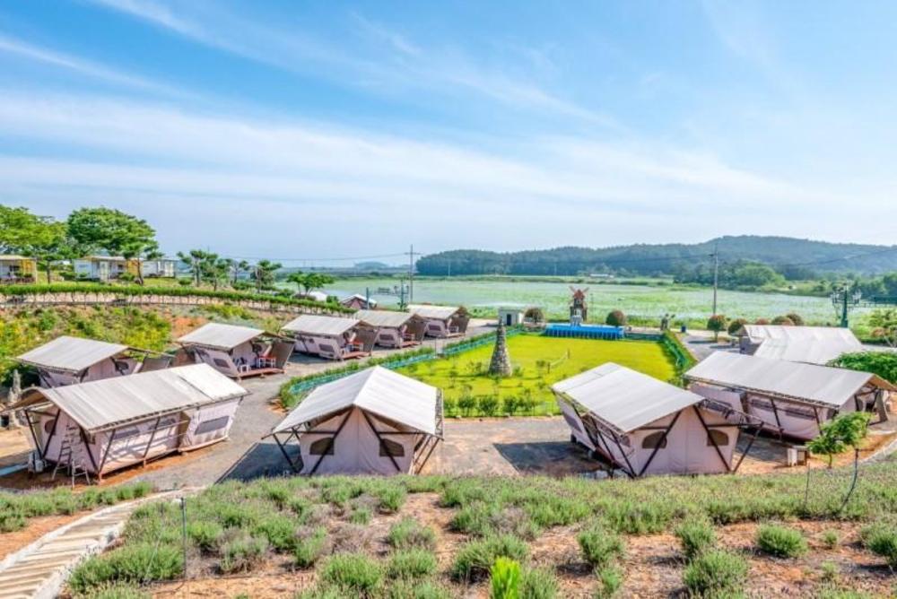 taean bibi artglamping