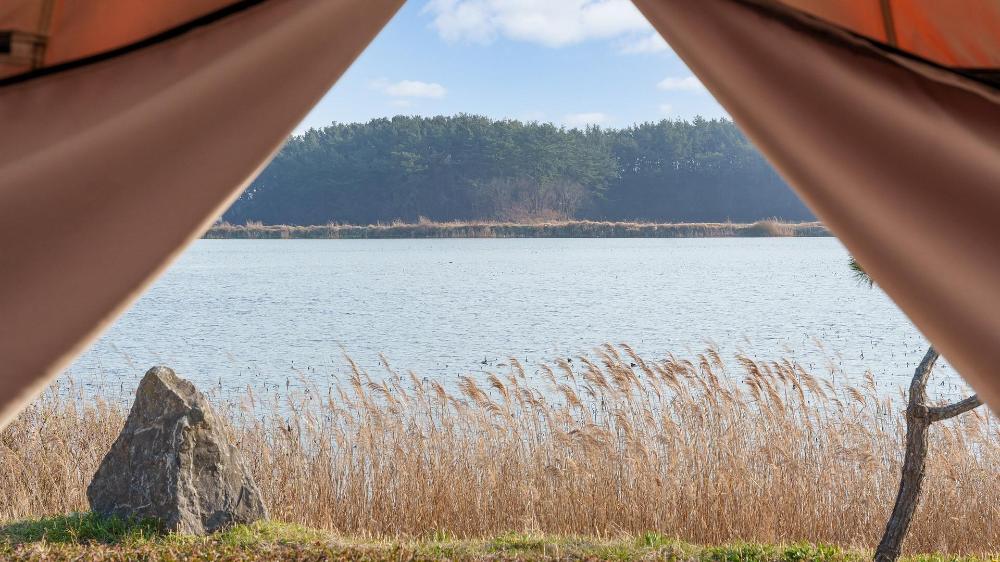 taean bibi artglamping