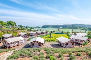 taean bibi artglamping