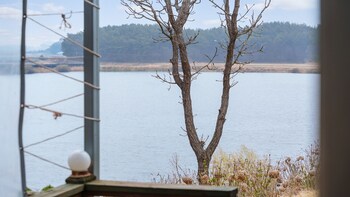 taean bibi artglamping