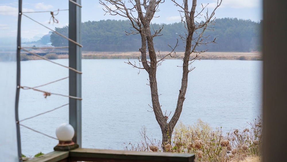 taean bibi artglamping