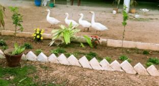 staymaker resort atmosphere