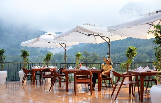 eden woods resorts and spa luxury five star resort in munnar kerala