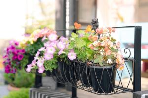 jeonju hanok village artists house sigan moonui