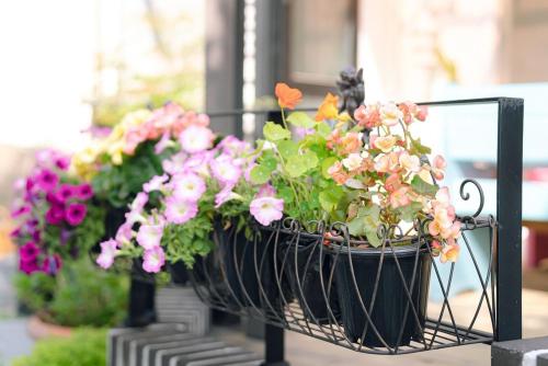 jeonju hanok village artists house sigan moonui