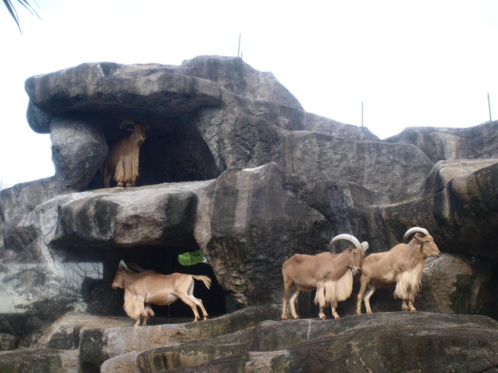 bharata beach house