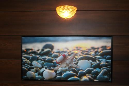 retrieve health and wellness