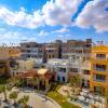 zen resort sahl hasheesh by tbh hotels