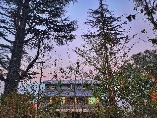 the halt narkanda rooms and rooftop cafe