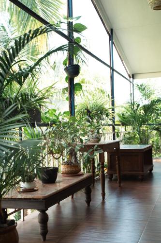 nasya beachside cottages