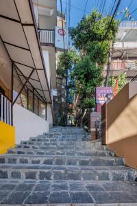 the bougainvillea mcleodganj