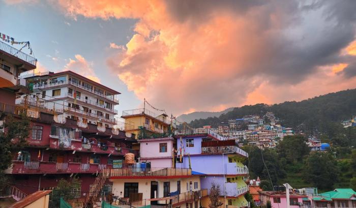 the bougainvillea mcleodganj