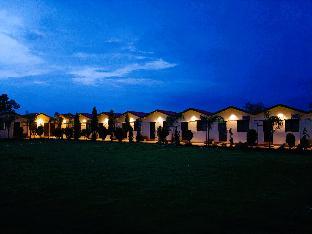 hotel celebration green