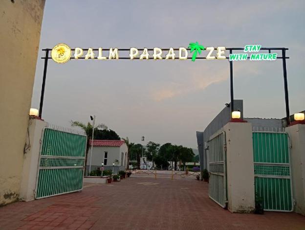 palm paradize stay with nature