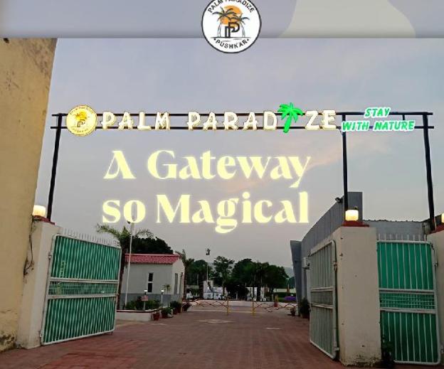 palm paradize stay with nature