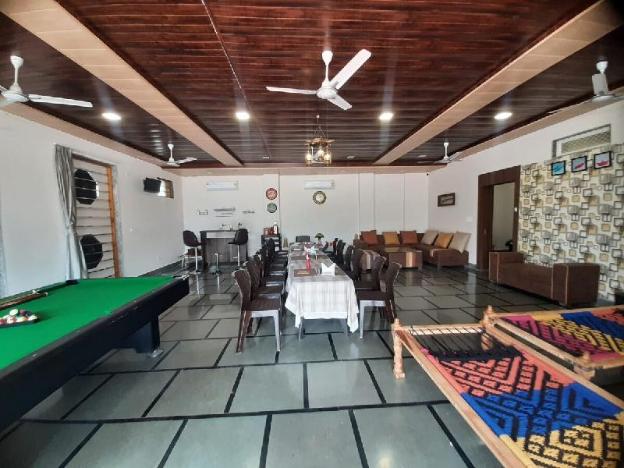 palm paradize stay with nature