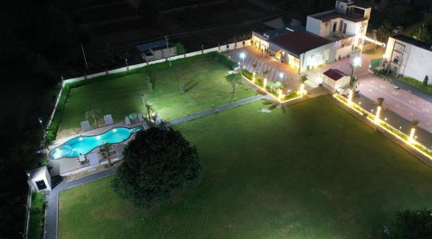 palm paradize stay with nature