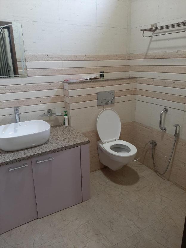 palm paradize stay with nature