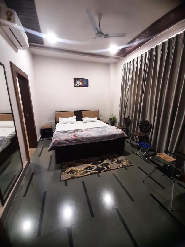 palm paradize stay with nature