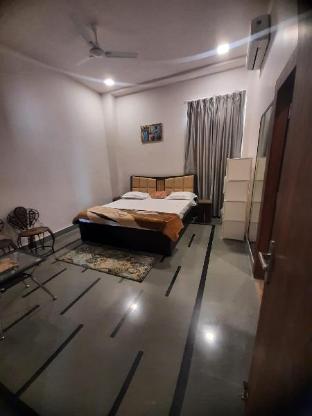 palm paradize stay with nature