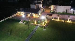 palm paradize stay with nature