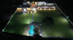 palm paradize stay with nature