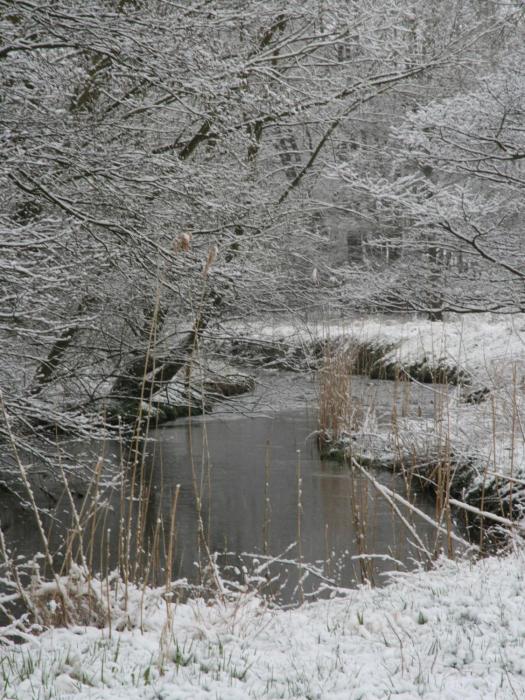 pritzwalk