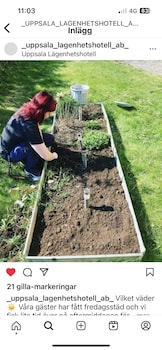 uppsala lagenhetshotell